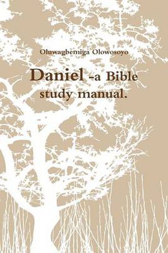 Cover image for Daniel -a Bible study manual.