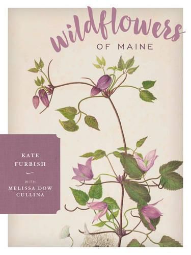 Cover image for Wildflowers of Maine