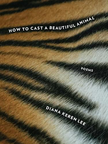 Cover image for How to Cast a Beautiful Animal