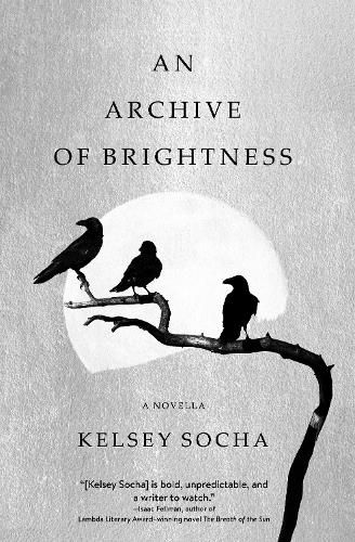 Cover image for An Archive of Brightness