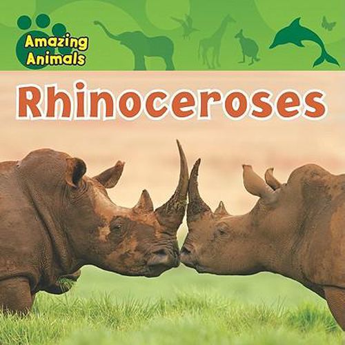 Cover image for Rhinoceroses