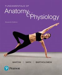 Cover image for Fundamentals of Anatomy & Physiology