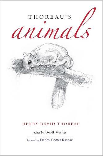 Cover image for Thoreau's Animals