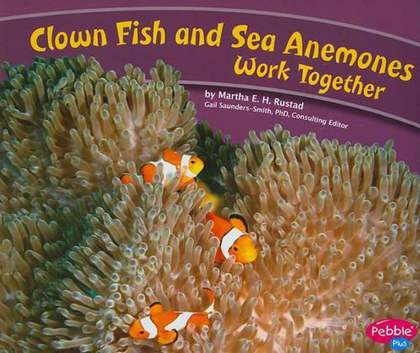 Clown Fish and Sea Anemones Work Together (Animals Working Together)