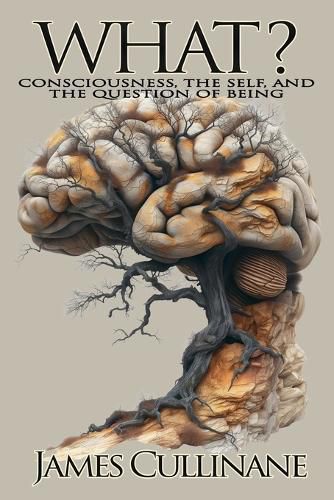 Cover image for What? Consciousness, the Self, and the Question of Being
