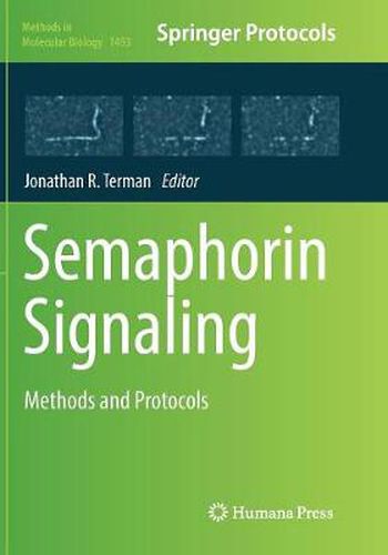 Cover image for Semaphorin Signaling: Methods and Protocols