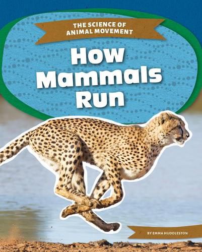 How Mammals Run