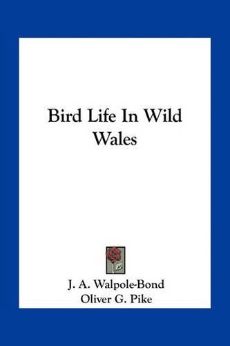 Cover image for Bird Life in Wild Wales