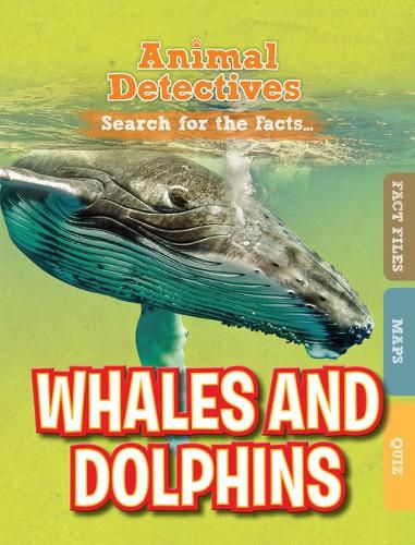 Cover image for Whales and Dolphins