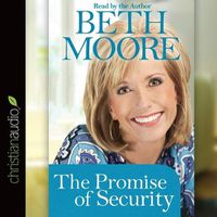 Cover image for Promise of Security