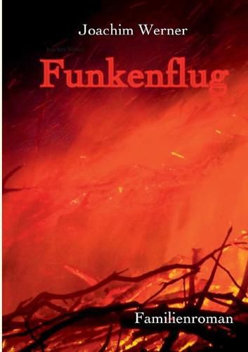 Cover image for Funkenflug