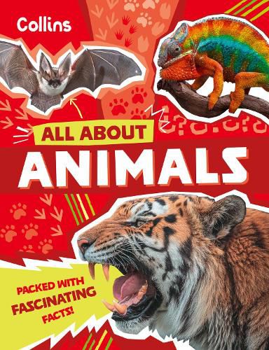Cover image for Animals