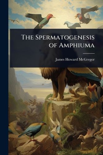 Cover image for The Spermatogenesis of Amphiuma