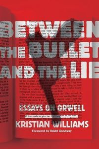 Cover image for Between The Bullet And The Lie: Essays on Orwell