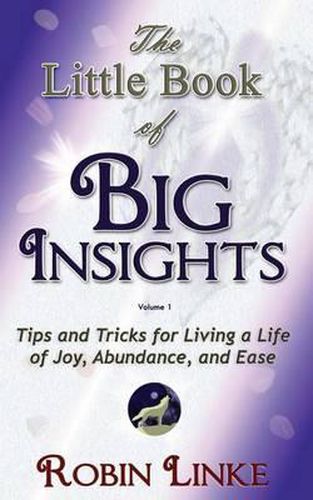 Cover image for The Little Book of BIG Insights Volume I: Tips and Tricks for living a life of Joy, Abundance, and Ease