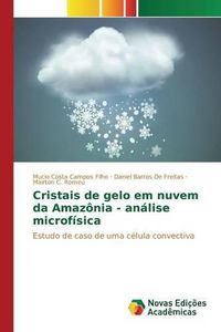 Cover image for Cristais de Gelo Em Nuvem Da Amazonia - Analise Microfisica
