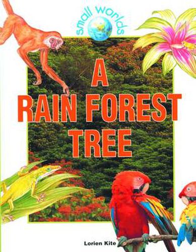 Cover image for A Rain Forest Tree