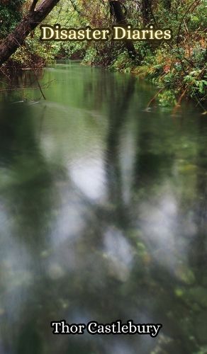 Cover image for Disaster Diaries