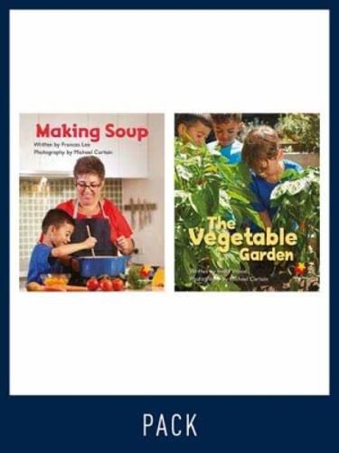 Cover image for Flying Start Guided Reading Level 2, Pack 1: Paired student books (6x6), vocabulary starter (1) and lesson plan (1)