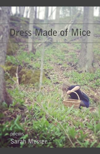 Cover image for Dress Made of Mice