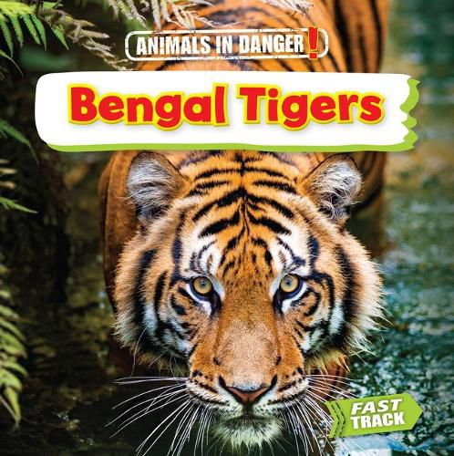 Cover image for Bengal Tigers