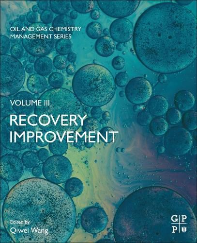 Cover image for Recovery Improvement