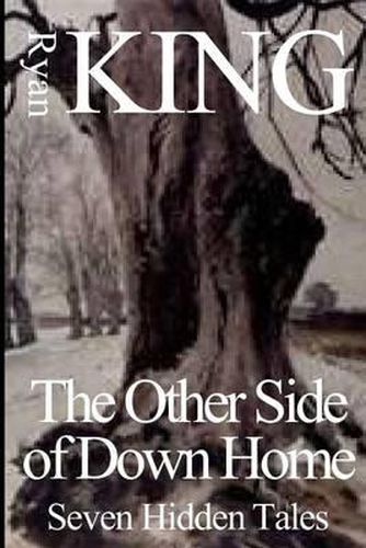 Cover image for Other Side of Down Home: Seven Hidden Tales
