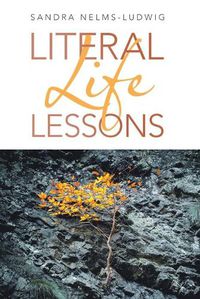 Cover image for Literal Life Lessons