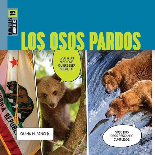 Cover image for Los Osos Pardos