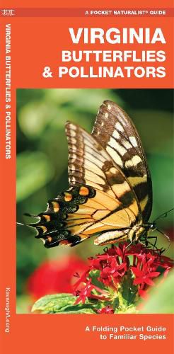 Virginia Butterflies & Pollinators: A Folding Pocket Guide to Familiar Species