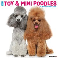 Cover image for Just Toy & Miniature Poodles 2025 12 X 12 Wall Calendar