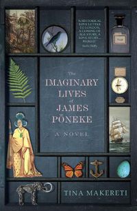 Cover image for The Imaginary Lives of James Poneke