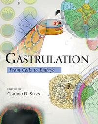 Cover image for Gastrulation: From Cells to Embryo