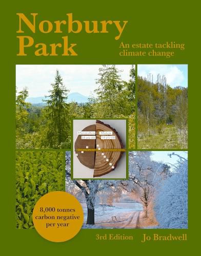 Cover image for Norbury Park