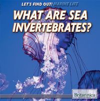 Cover image for What Are Sea Invertebrates?