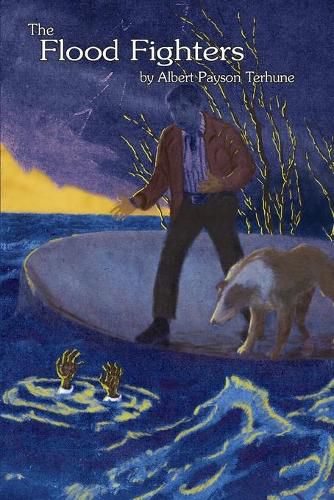 Cover image for The Flood Fighters