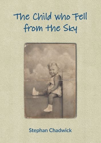 Cover image for The Child Who Fell from the Sky