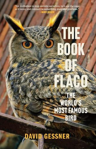 Cover image for The Book of Flaco