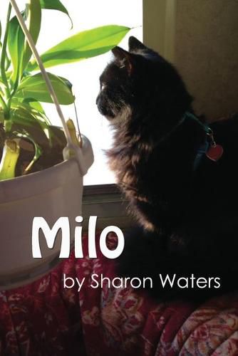 Cover image for Milo