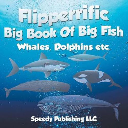 Flipperrific Big Book Of Big Fish (Whales, Dolphins etc)