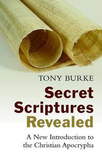 Cover image for Secret Scriptures Revealed: A New Introduction to the Christian Apocrypha