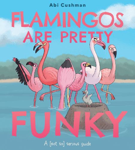 Cover image for Flamingos Are Pretty Funky
