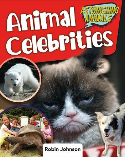 Cover image for Animal Celebrities