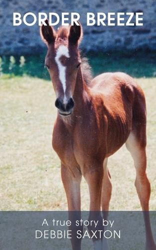 Cover image for Border Breeze