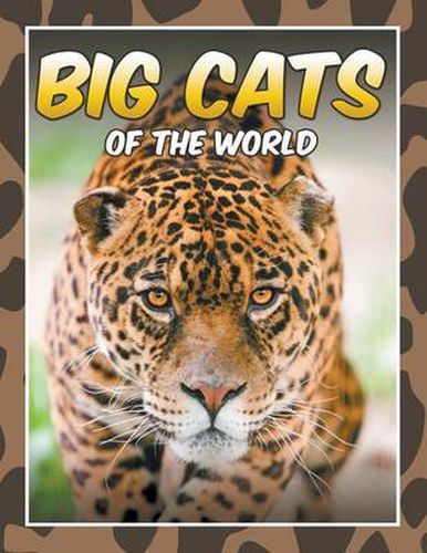 Cover image for Big Cats of the World