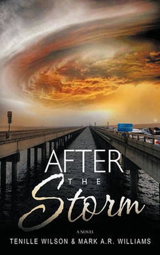 Cover image for After the Storm