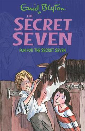 Secret Seven: Fun For The Secret Seven: Book 15