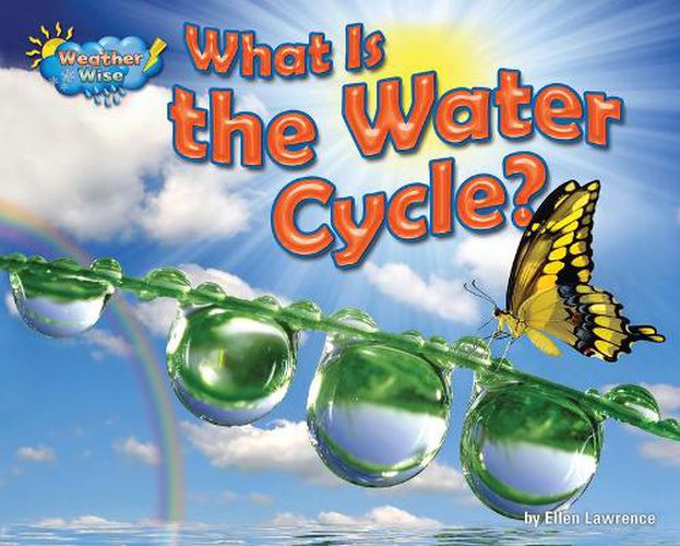 Cover image for What Is the Water Cycle?