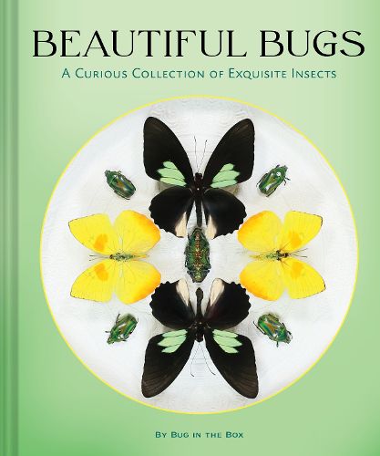 Cover image for Beautiful Bugs