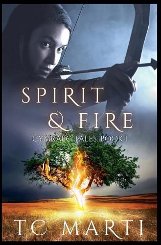 Cover image for Spirit and Fire